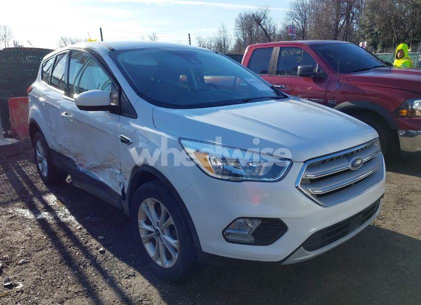 2019 Ford Escape SE (VIN 1FMCU9GD5KUB53916) main photo