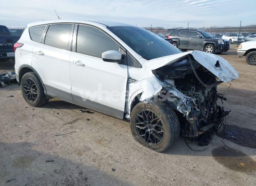 2019 Ford Escape SE (VIN 1FMCU9GD5KUB72305) main photo