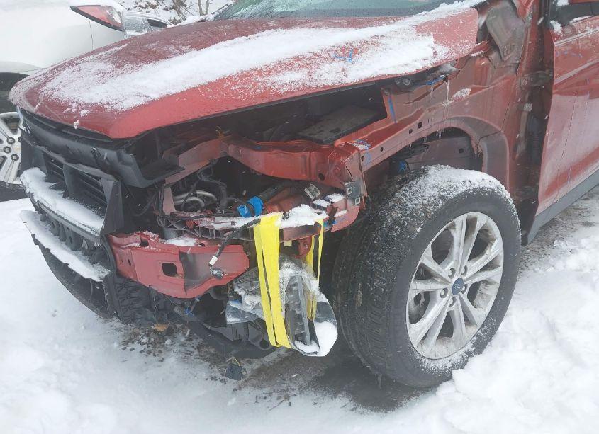 Photo 17 of 2019 Ford Escape SE (VIN 1FMCU9GD5KUB76144)