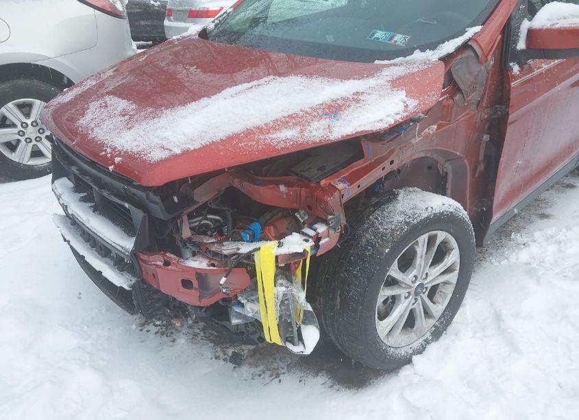 Photo 21 of 2019 Ford Escape SE (VIN 1FMCU9GD5KUB76144)