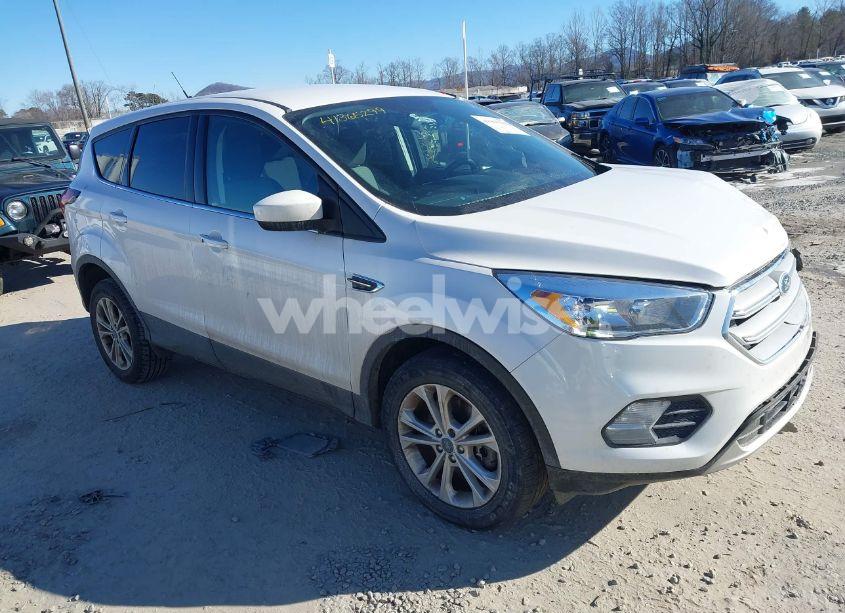 2019 Ford Escape SE (VIN 1FMCU9GD5KUC24497) main photo