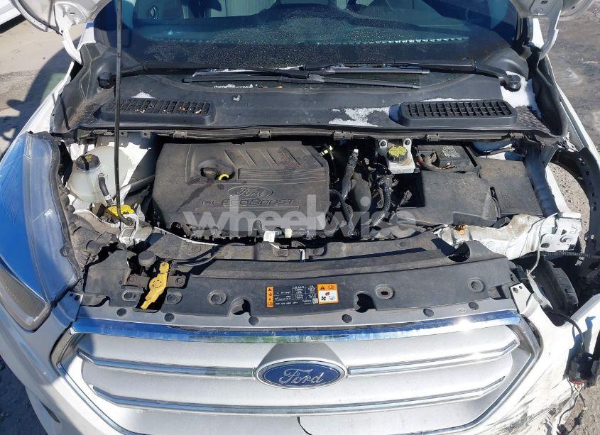 Photo 10 of 2019 Ford Escape SE (VIN 1FMCU9GD5KUC24497)