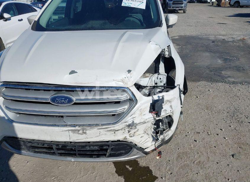 Photo 18 of 2019 Ford Escape SE (VIN 1FMCU9GD5KUC24497)