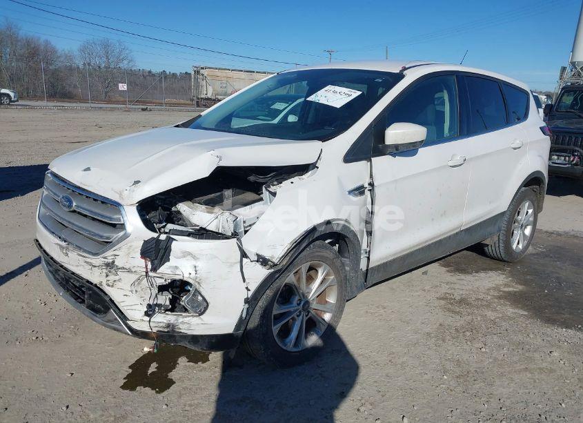 Photo 2 of 2019 Ford Escape SE (VIN 1FMCU9GD5KUC24497)