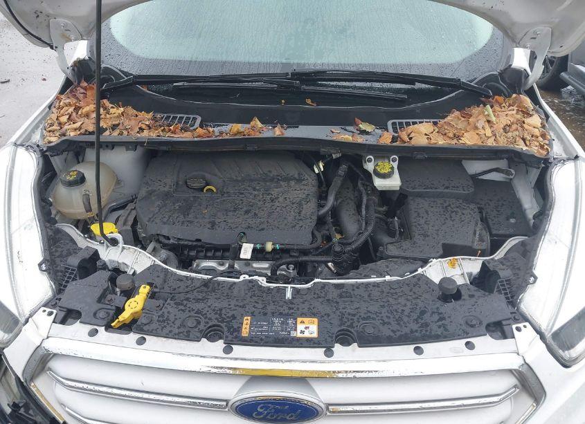 Photo 10 of 2018 Ford Escape SE (VIN 1FMCU9GD6JUA74804)