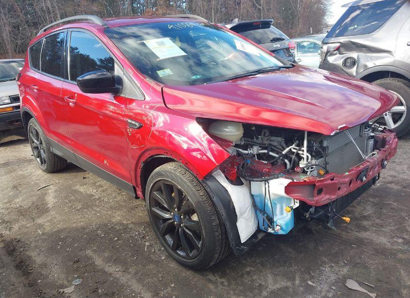 2019 Ford Escape SE (VIN 1FMCU9GD6KUA37317) main photo
