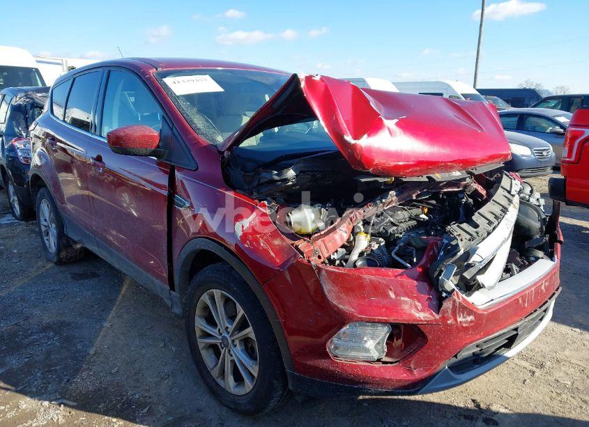 2019 Ford Escape SE (VIN 1FMCU9GD6KUA58166) main photo