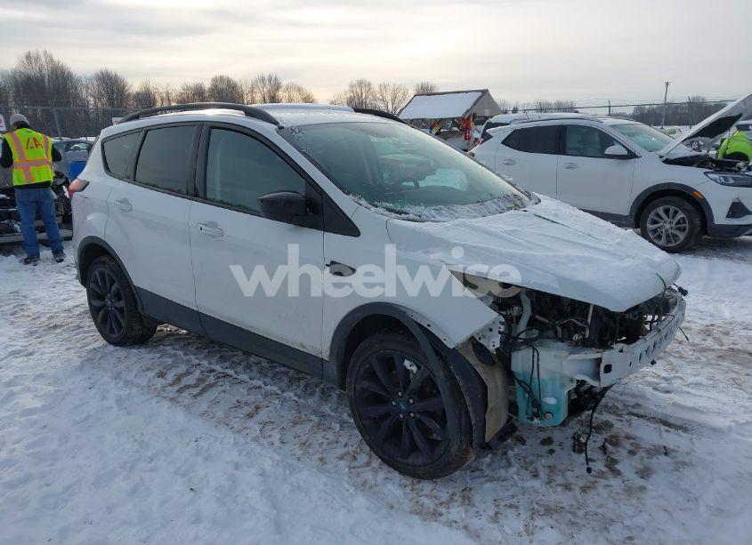 2019 Ford Escape SE (VIN 1FMCU9GD6KUA86162) main photo