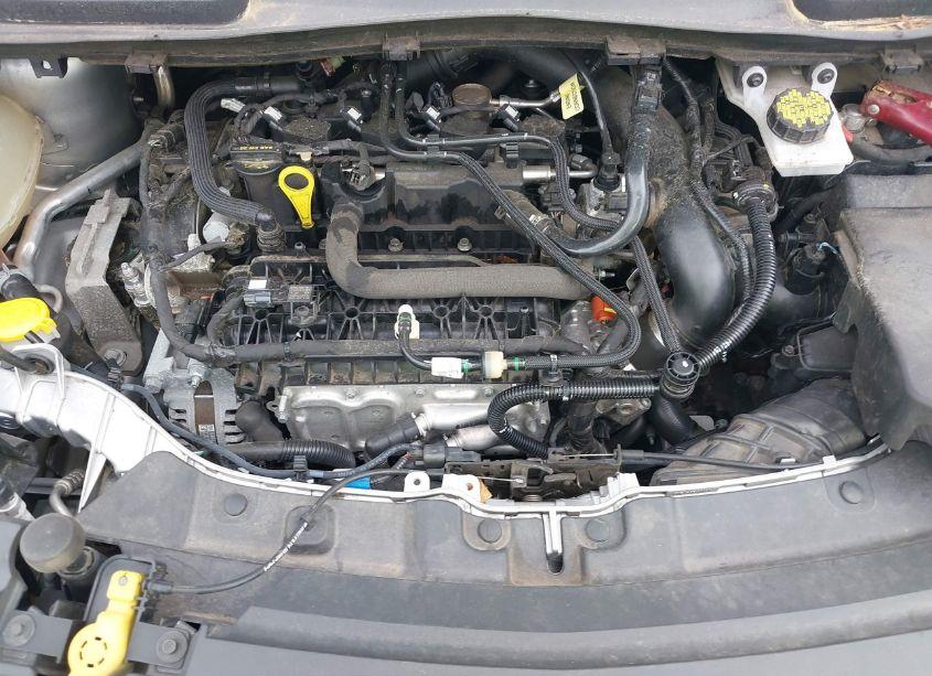 Photo 10 of 2019 Ford Escape SE (VIN 1FMCU9GD6KUA97291)