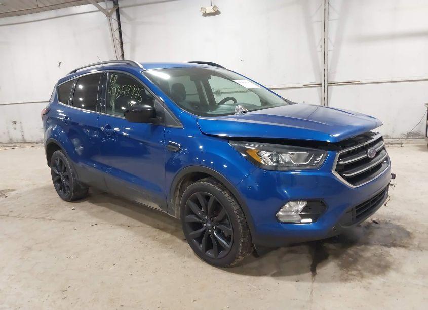 2019 Ford Escape SE (VIN 1FMCU9GD6KUB09553) main photo