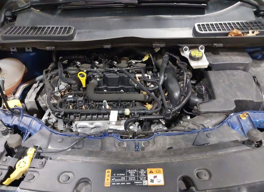 Photo 10 of 2019 Ford Escape SE (VIN 1FMCU9GD6KUB09553)