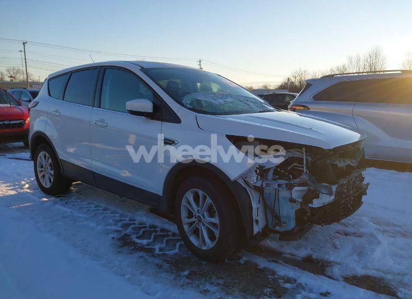 2019 Ford Escape SE (VIN 1FMCU9GD6KUC49716) main photo