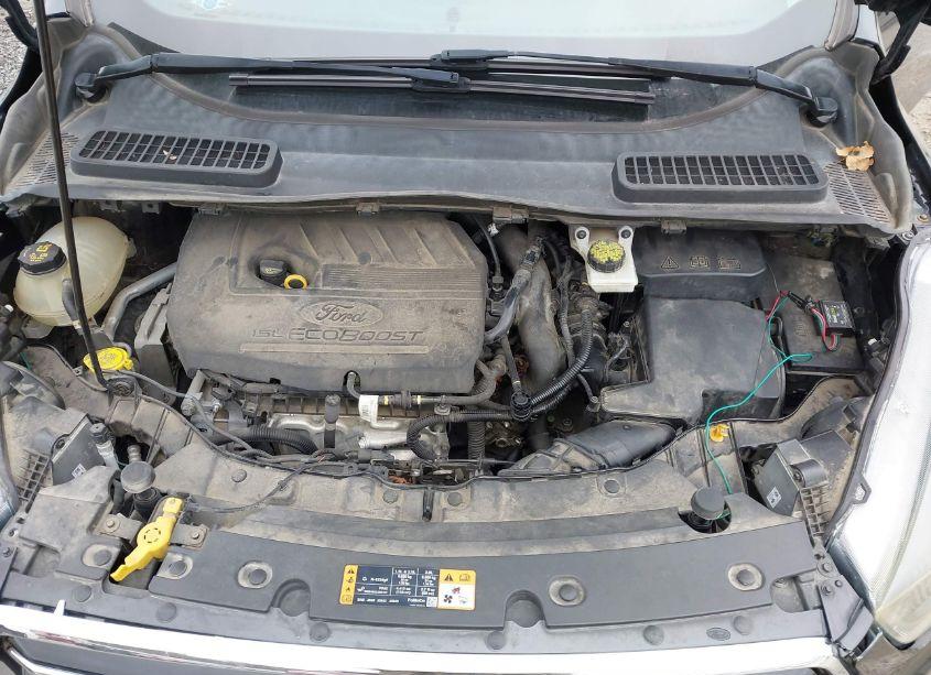 Photo 10 of 2017 Ford Escape SE (VIN 1FMCU9GD7HUA10412)