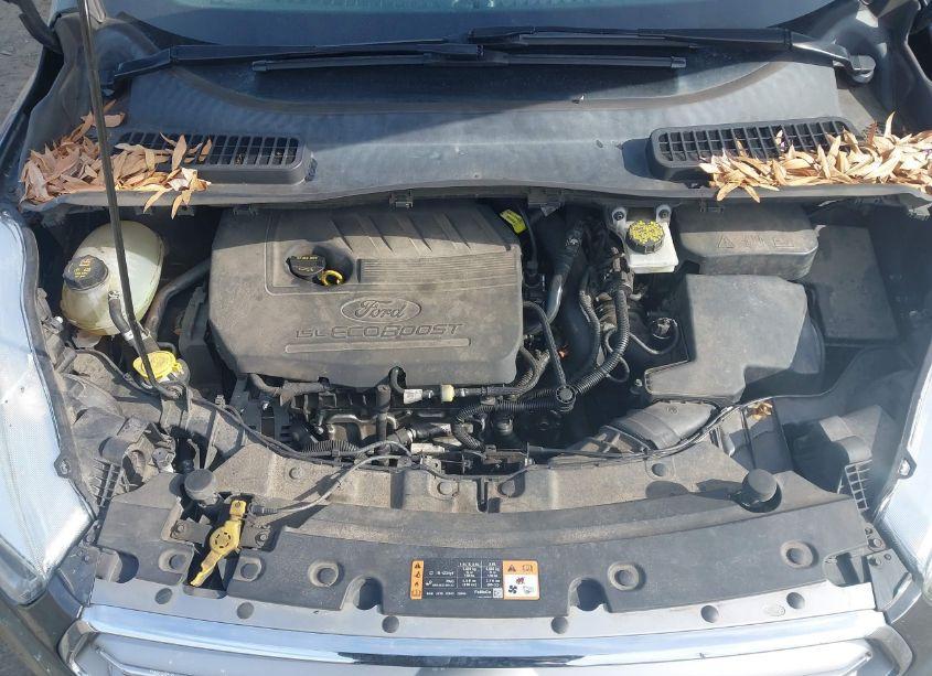 Photo 10 of 2017 Ford Escape SE (VIN 1FMCU9GD7HUD49509)