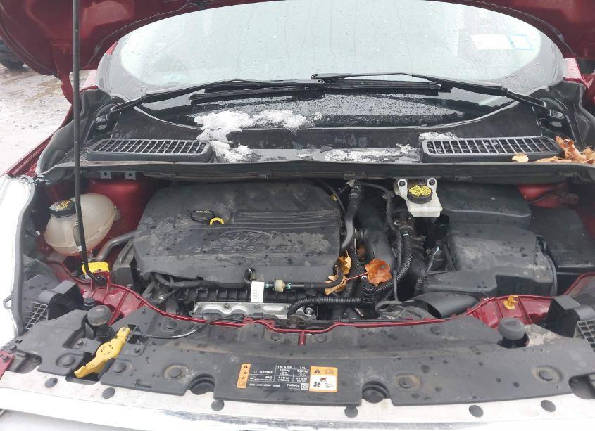 Photo 10 of 2018 Ford Escape SE (VIN 1FMCU9GD7JUB38445)