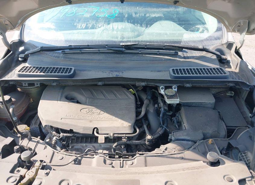 Photo 10 of 2018 Ford Escape SE (VIN 1FMCU9GD7JUC48668)