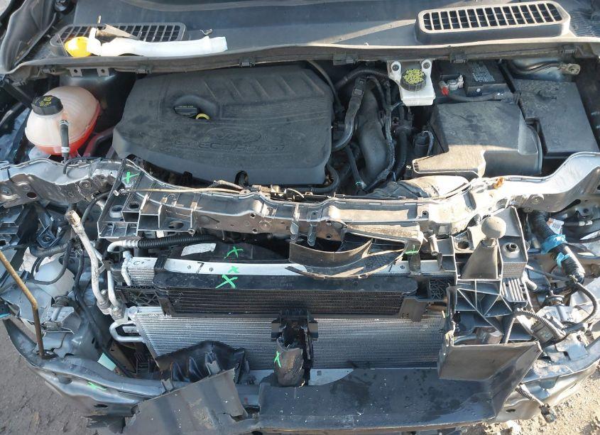 Photo 10 of 2018 Ford Escape SE (VIN 1FMCU9GD7JUD12000)