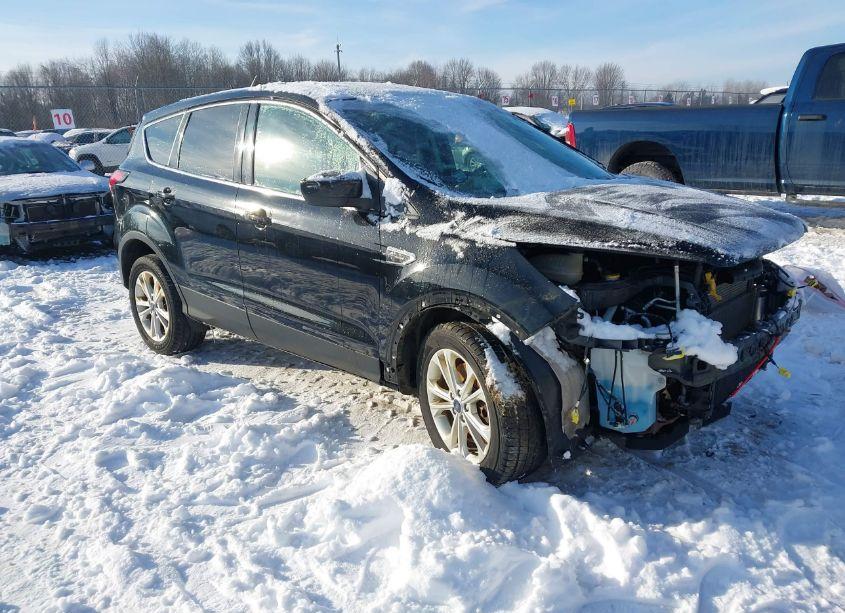 2019 Ford Escape SE (VIN 1FMCU9GD7KUA09316) main photo