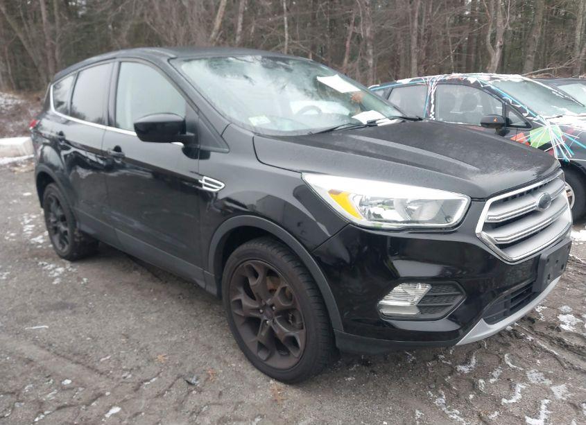2019 Ford Escape SE (VIN 1FMCU9GD7KUA72755) main photo