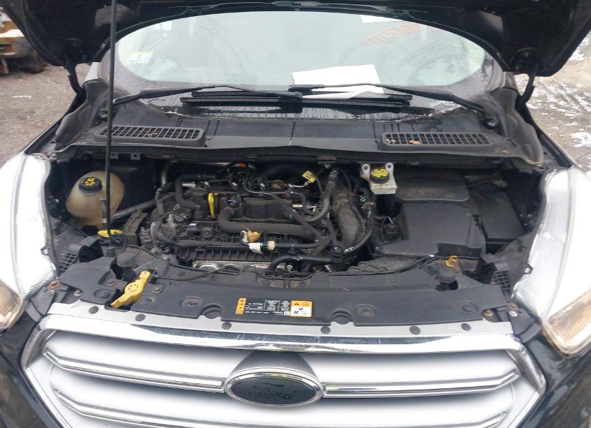 Photo 10 of 2019 Ford Escape SE (VIN 1FMCU9GD7KUA72755)