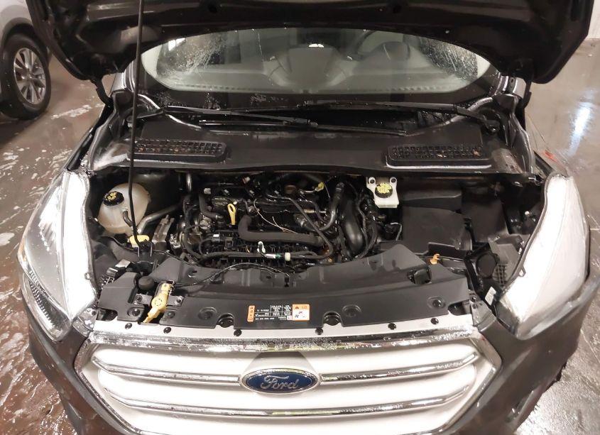 Photo 10 of 2019 Ford Escape SE (VIN 1FMCU9GD7KUA96957)