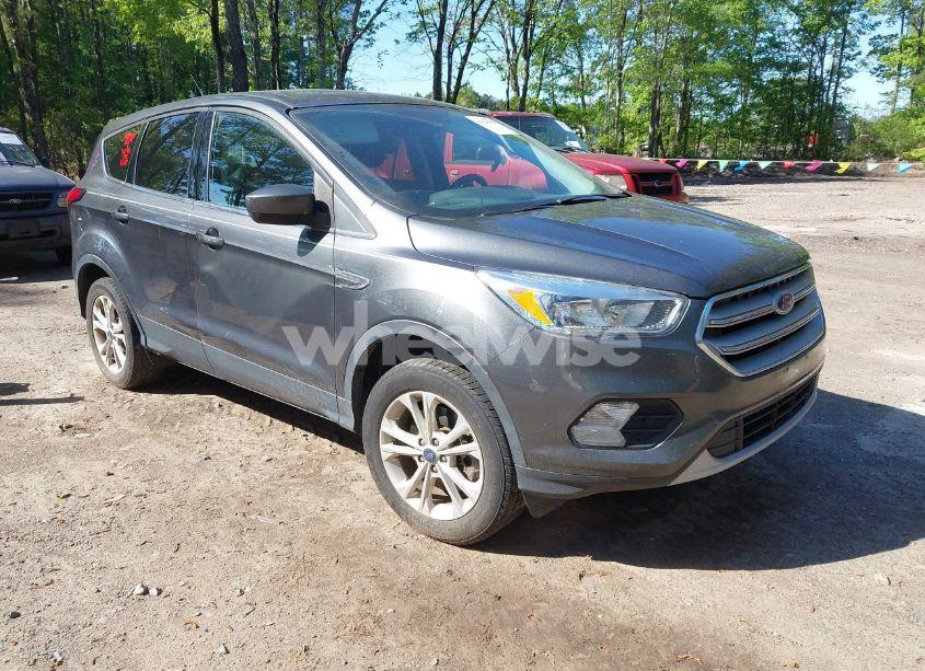 2019 Ford Escape SE (VIN 1FMCU9GD7KUB23316) main photo
