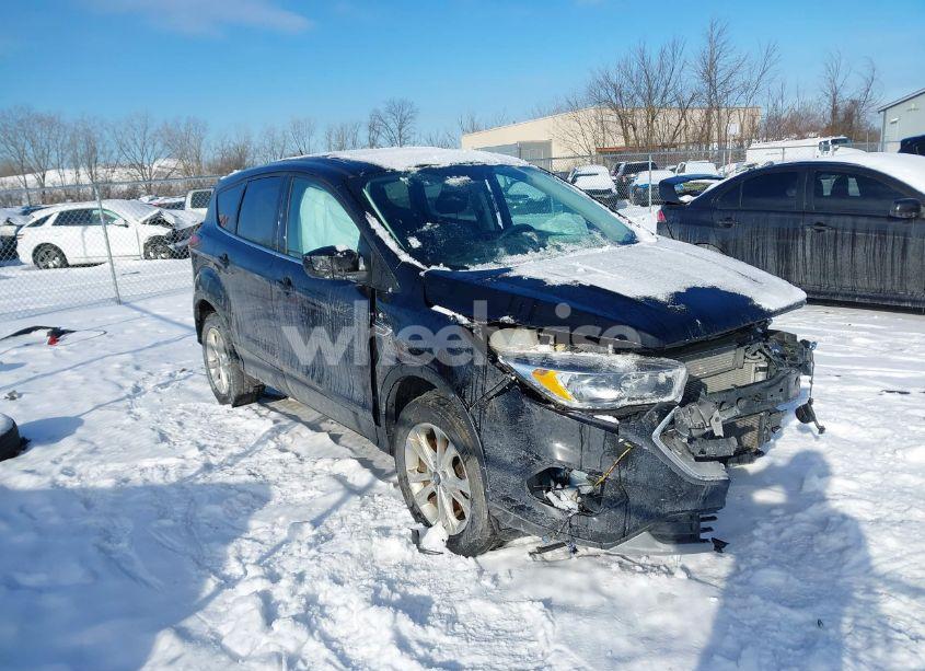 2019 Ford Escape SE (VIN 1FMCU9GD7KUC48770) main photo