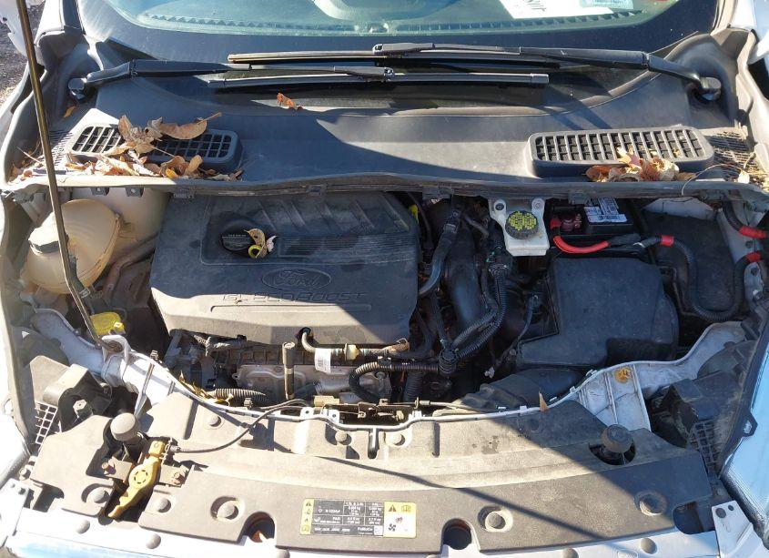 Photo 10 of 2017 Ford Escape SE (VIN 1FMCU9GD8HUB05769)