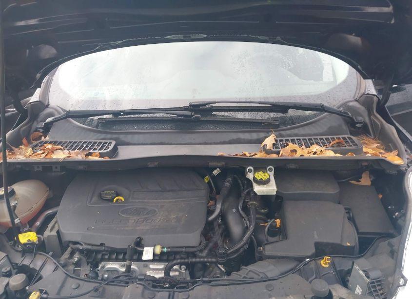 Photo 10 of 2017 Ford Escape SE (VIN 1FMCU9GD8HUD02568)