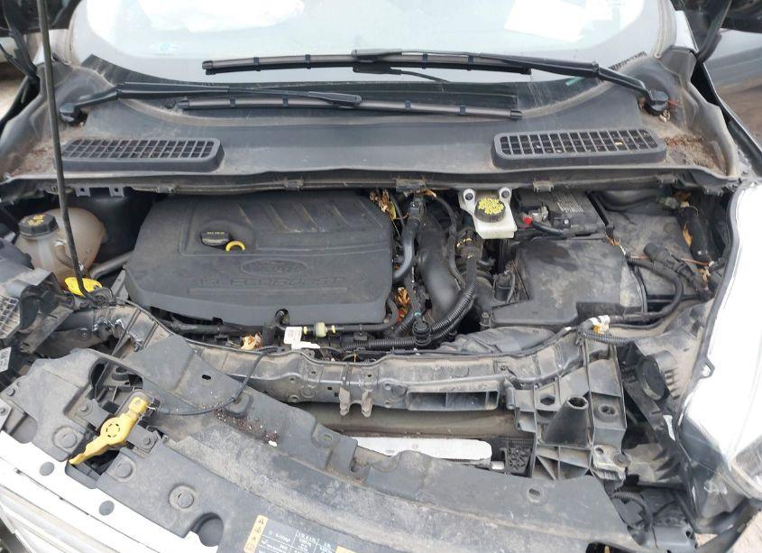 Photo 10 of 2017 Ford Escape SE (VIN 1FMCU9GD8HUE75894)