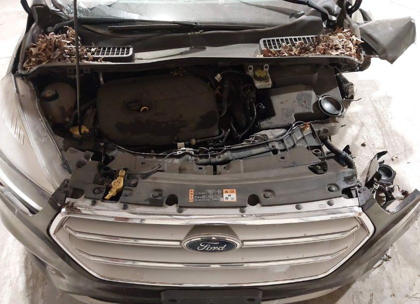 Photo 10 of 2018 Ford Escape SE (VIN 1FMCU9GD8JUB33562)