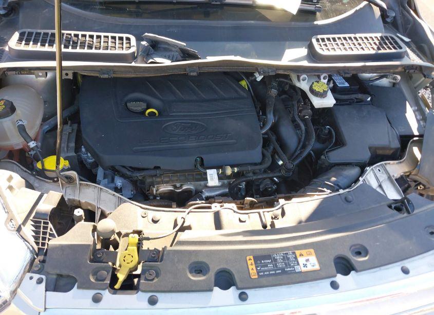 Photo 10 of 2018 Ford Escape SE (VIN 1FMCU9GD8JUB35084)