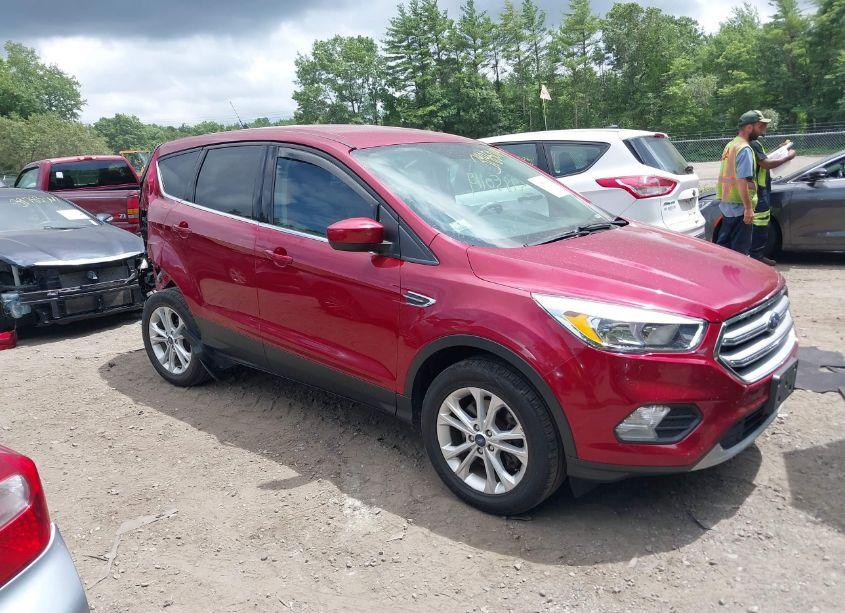 2019 Ford Escape SE (VIN 1FMCU9GD8KUA00527) main photo