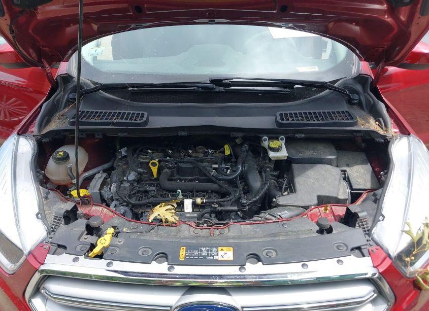 Photo 10 of 2019 Ford Escape SE (VIN 1FMCU9GD8KUA00527)