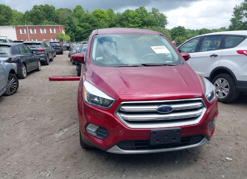 Photo 13 of 2019 Ford Escape SE (VIN 1FMCU9GD8KUA00527)