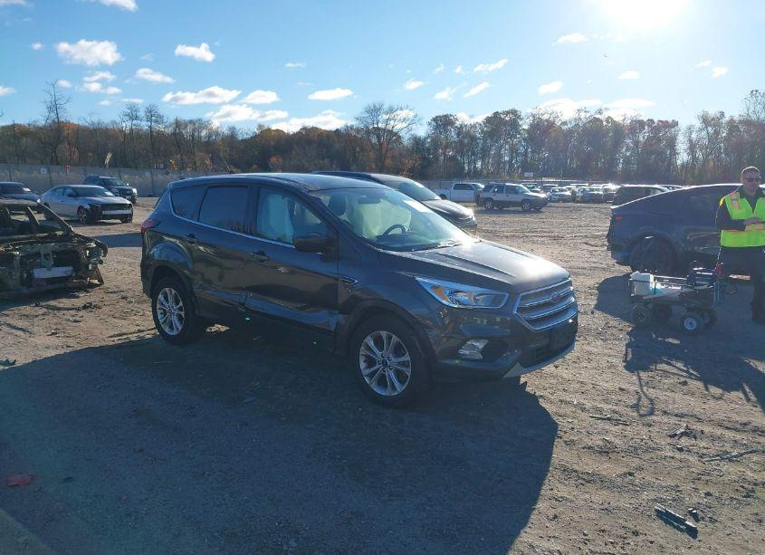2019 Ford Escape SE (VIN 1FMCU9GD8KUA10250) main photo
