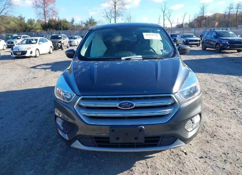 Photo 12 of 2019 Ford Escape SE (VIN 1FMCU9GD8KUA10250)