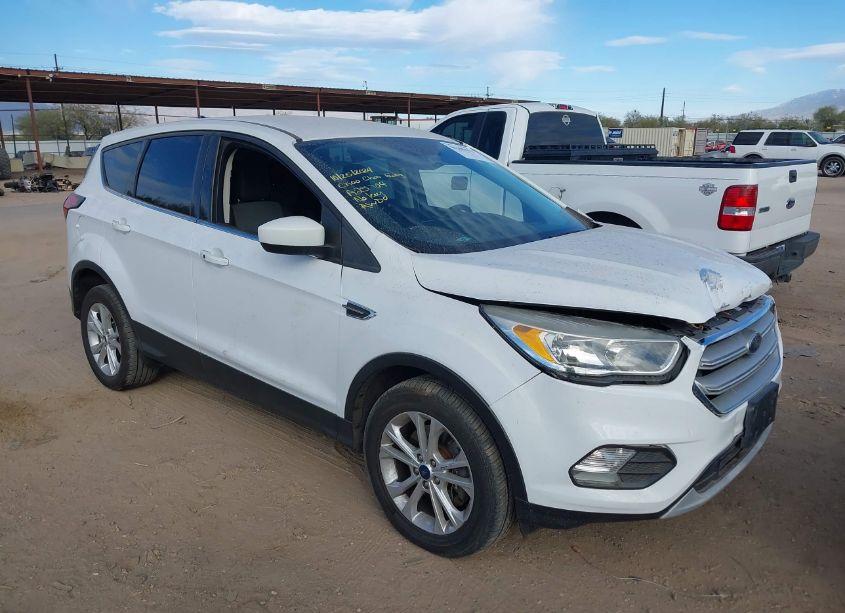 2019 Ford Escape SE (VIN 1FMCU9GD8KUA25704) main photo