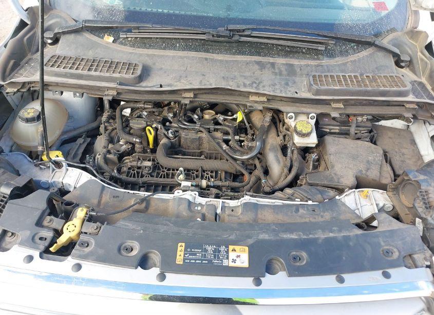 Photo 10 of 2019 Ford Escape SE (VIN 1FMCU9GD8KUA25704)