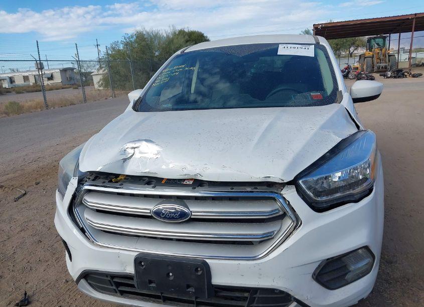 Photo 12 of 2019 Ford Escape SE (VIN 1FMCU9GD8KUA25704)