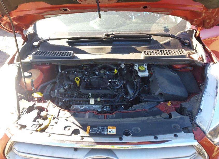 Photo 10 of 2019 Ford Escape SE (VIN 1FMCU9GD8KUA48612)