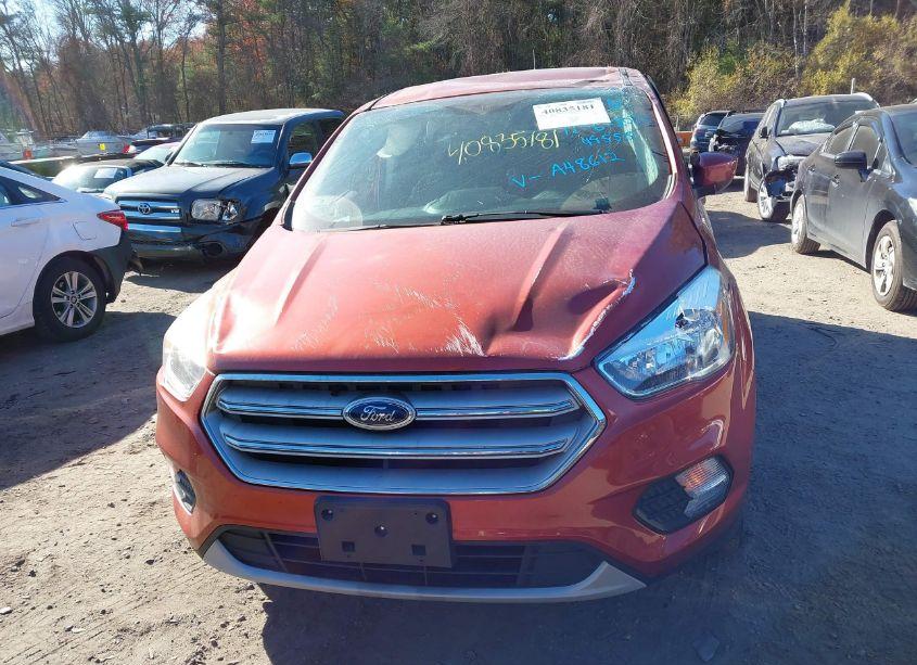 Photo 12 of 2019 Ford Escape SE (VIN 1FMCU9GD8KUA48612)
