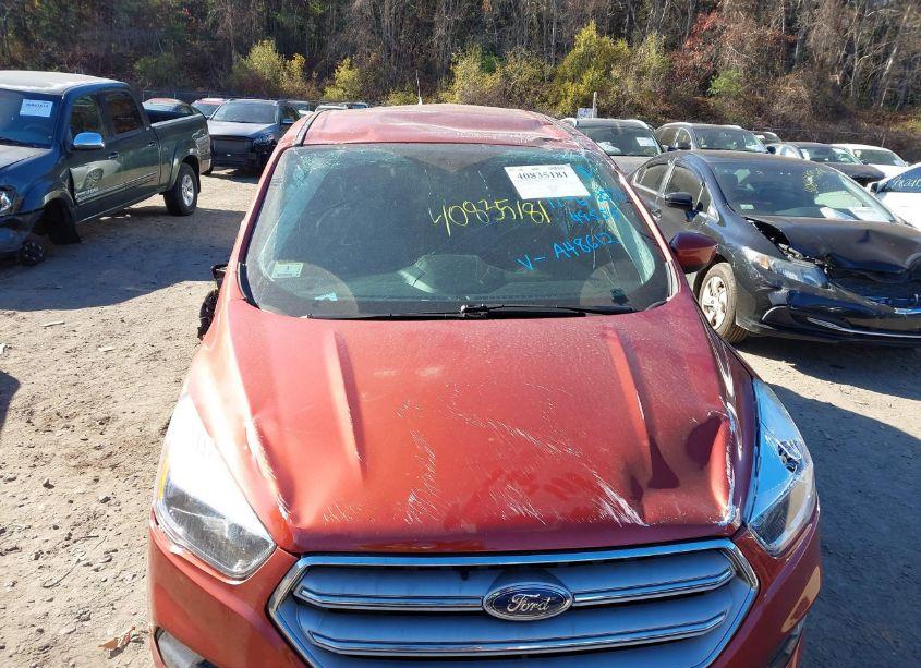 Photo 6 of 2019 Ford Escape SE (VIN 1FMCU9GD8KUA48612)