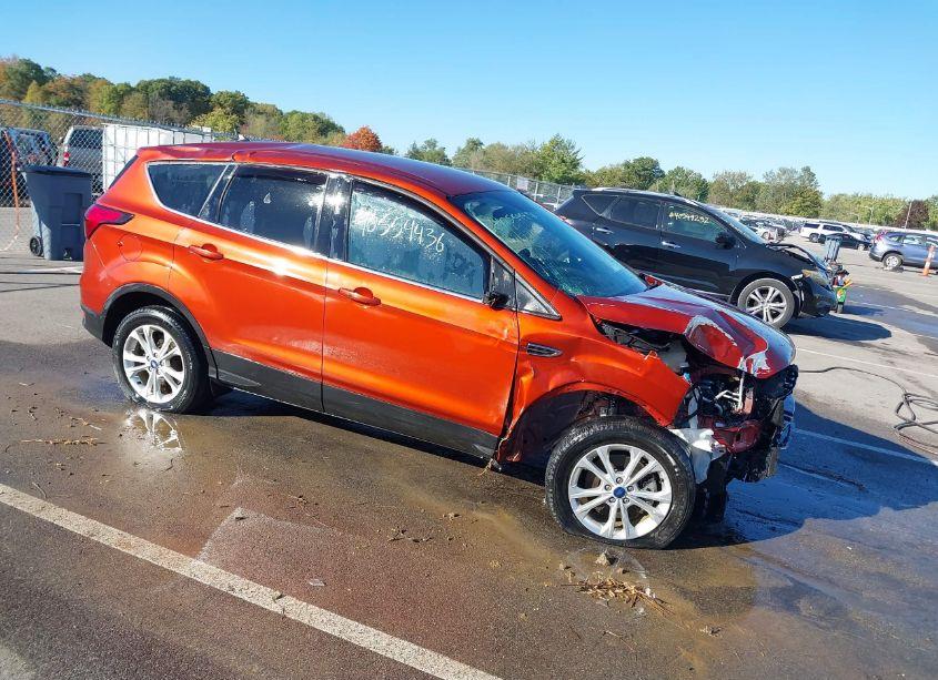 2019 Ford Escape SE (VIN 1FMCU9GD8KUA95557) main photo