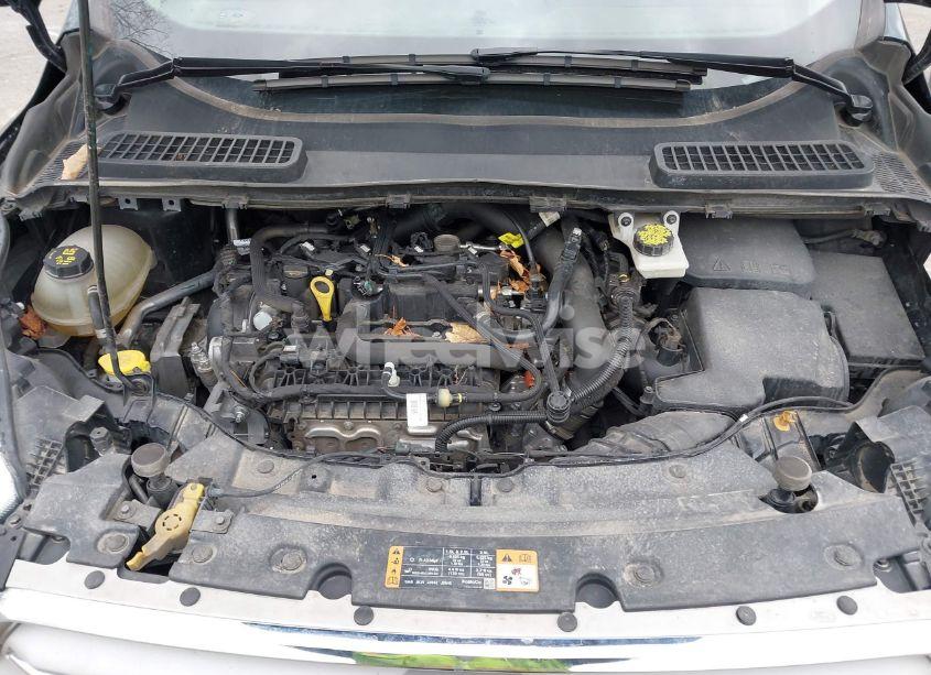 Photo 10 of 2019 Ford Escape SE (VIN 1FMCU9GD8KUB56356)