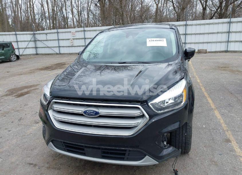 Photo 12 of 2019 Ford Escape SE (VIN 1FMCU9GD8KUB56356)