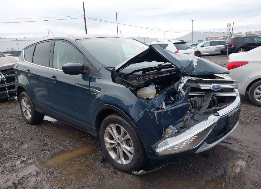 2019 Ford Escape SE (VIN 1FMCU9GD8KUB73996) main photo