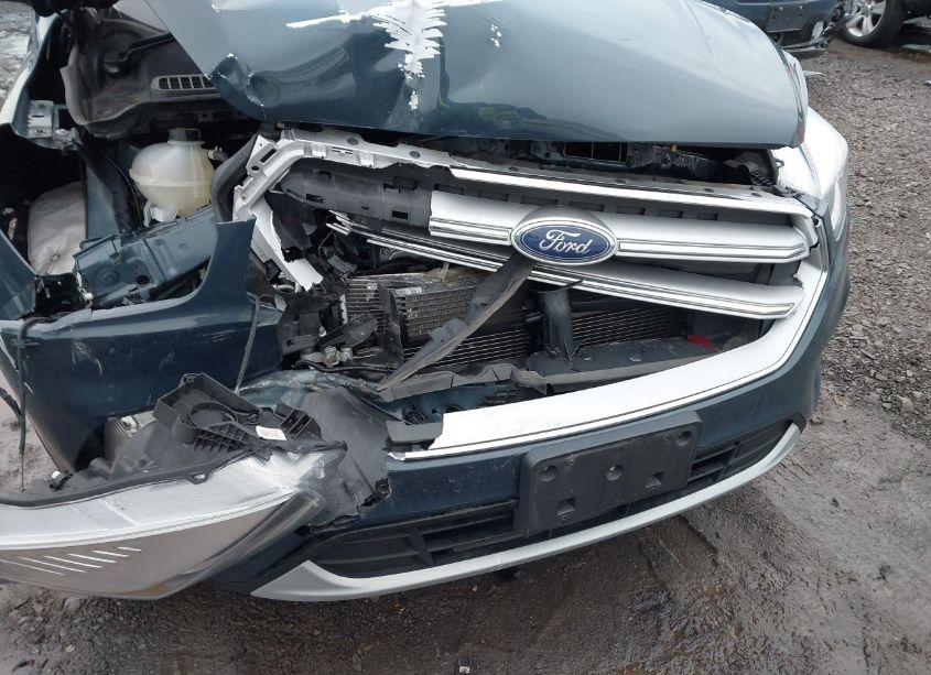 Photo 17 of 2019 Ford Escape SE (VIN 1FMCU9GD8KUB73996)