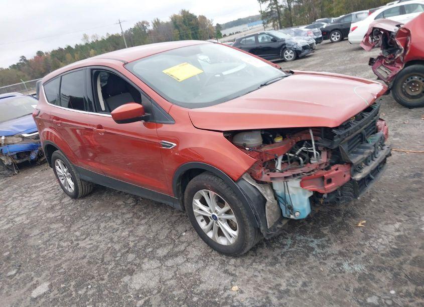 2019 Ford Escape SE (VIN 1FMCU9GD8KUB82410) main photo