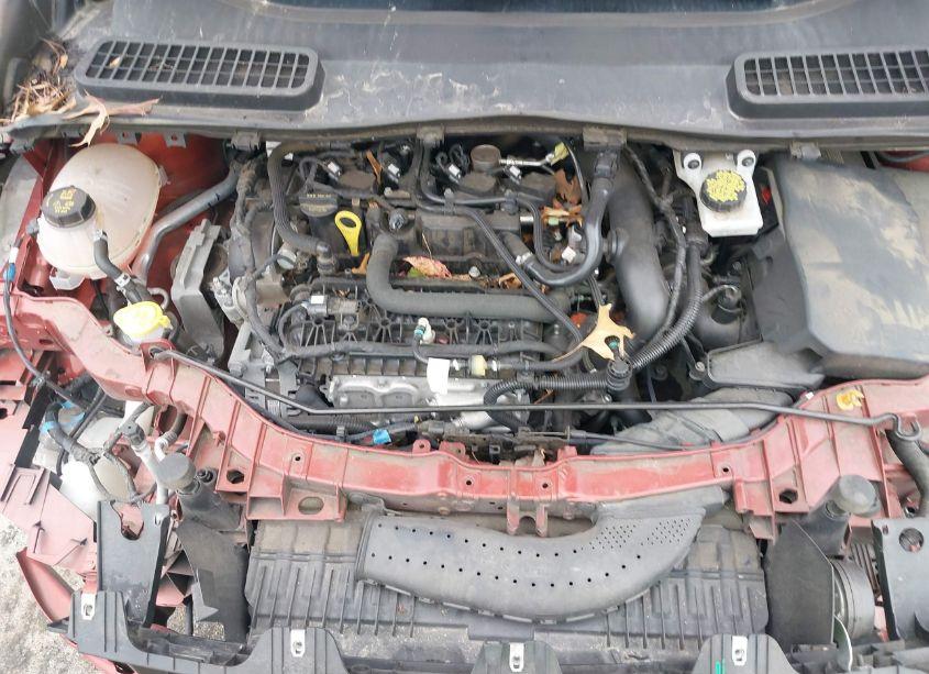 Photo 10 of 2019 Ford Escape SE (VIN 1FMCU9GD8KUB82410)